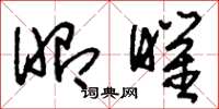 刘少英昭曜草书怎么写