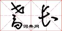 刘少英耆长草书怎么写