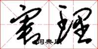刘少英害理草书怎么写