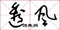 刘少英透风草书怎么写