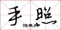 段相林手照行书怎么写