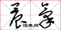 刘少英晨气草书怎么写