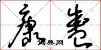 刘少英康盛草书怎么写