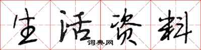 段相林生活资料行书怎么写
