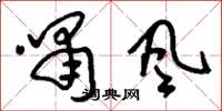 刘少英啸风草书怎么写