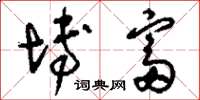 刘少英博富草书怎么写