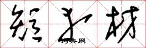 刘少英短幸材草书怎么写