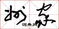 刘少英州家草书怎么写