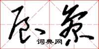 刘少英辰参草书怎么写