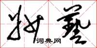 刘少英妙艺草书怎么写