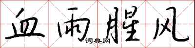 钱沛云血雨腥风行书怎么写