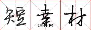 段相林短幸材行书怎么写