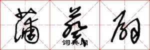 王冬龄蒲葵扇草书怎么写