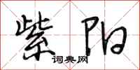 段相林紫阳行书怎么写