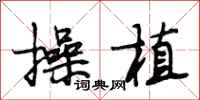 段相林操植行书怎么写
