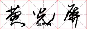 朱锡荣荧光屏草书怎么写