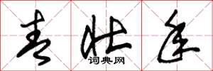 朱锡荣青壮年草书怎么写