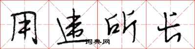 段相林用违所长行书怎么写