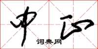 朱锡荣中正草书怎么写