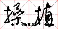 刘少英操植草书怎么写