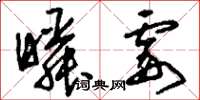 刘少英瞬霎草书怎么写