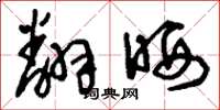 刘少英翻晒草书怎么写