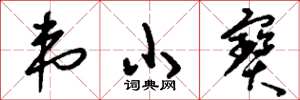 刘少英韦小宝草书怎么写