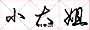 朱锡荣小大姐草书怎么写