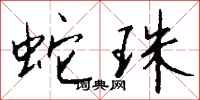 钱沛云蛇珠行书怎么写