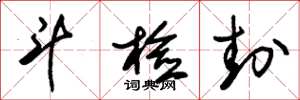 朱锡荣斗检封草书怎么写