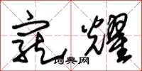 朱锡荣宠耀草书怎么写