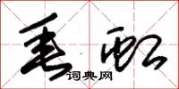朱锡荣垂虹草书怎么写