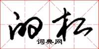 朱锡荣的杠草书怎么写