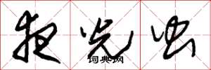 朱锡荣夜光虫草书怎么写
