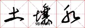 朱锡荣土壤水草书怎么写