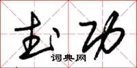 朱锡荣武功草书怎么写