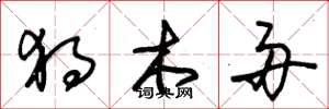 朱锡荣独木舟草书怎么写