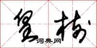 朱锡荣皇树草书怎么写