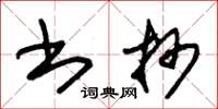 朱锡荣书抄草书怎么写