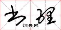 朱锡荣书理草书怎么写