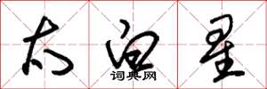 朱锡荣太白星草书怎么写
