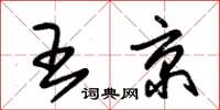 朱锡荣王京草书怎么写
