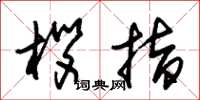 朱锡荣拶指草书怎么写