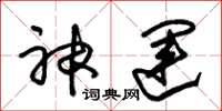 朱锡荣神运草书怎么写