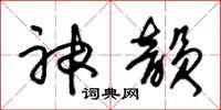 朱锡荣神韵草书怎么写