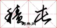 朱锡荣积屯草书怎么写