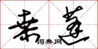 朱锡荣桑蓬草书怎么写