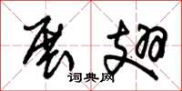 朱锡荣展翅草书怎么写