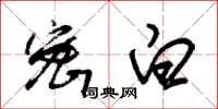 朱锡荣密白草书怎么写