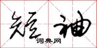 朱锡荣短袖草书怎么写